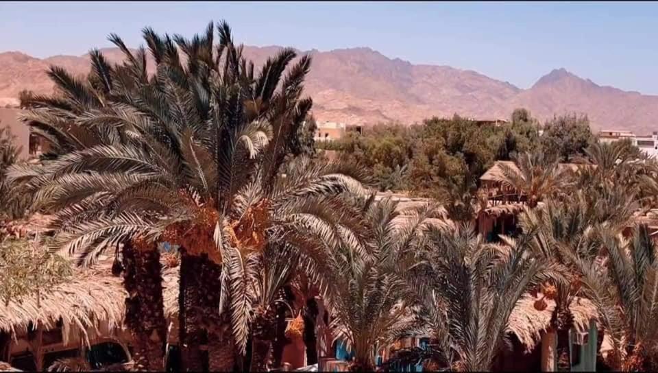 A5Ena House Villa Dahab Exterior photo