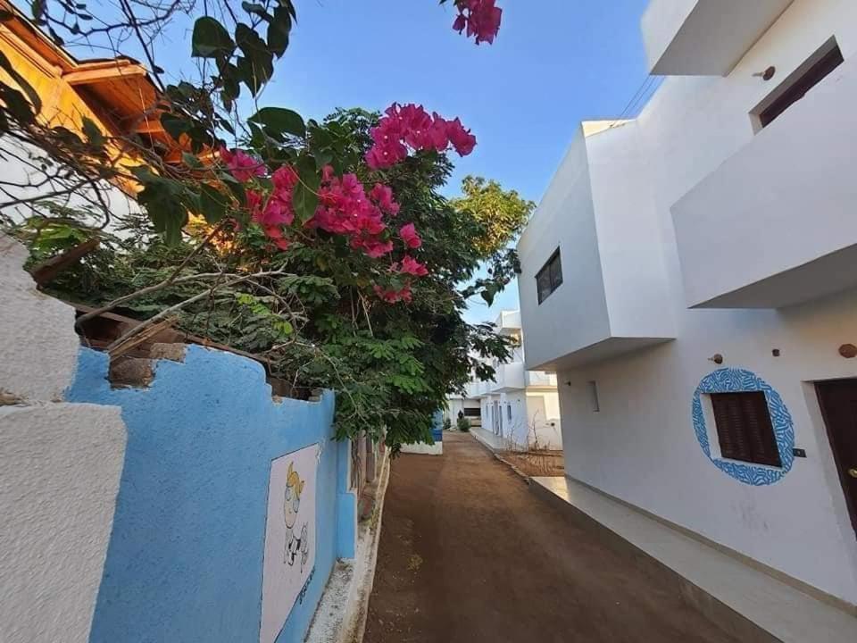A5Ena House Villa Dahab Exterior photo